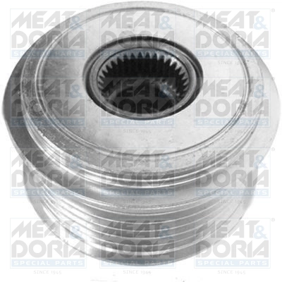 Alternator Freewheel Clutch